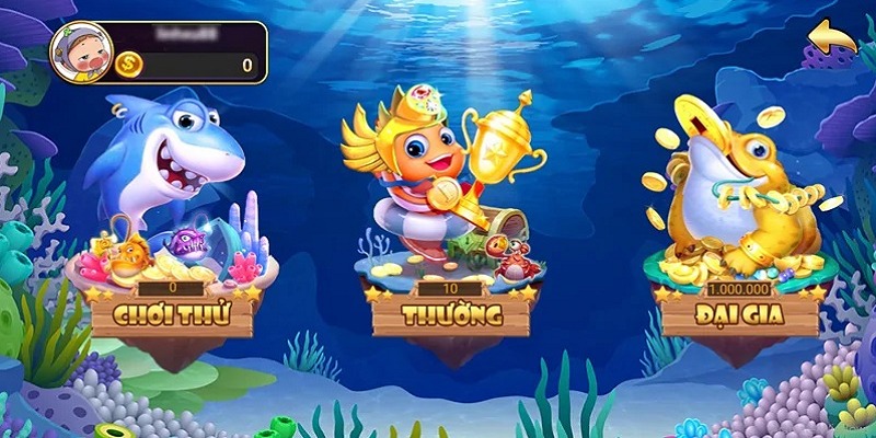 Bắn Cá Bingo cung cấp đa dạng sảnh chơi phù hợp với từng kỹ năng