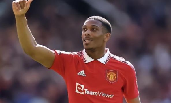 的发展动态 的发展动态