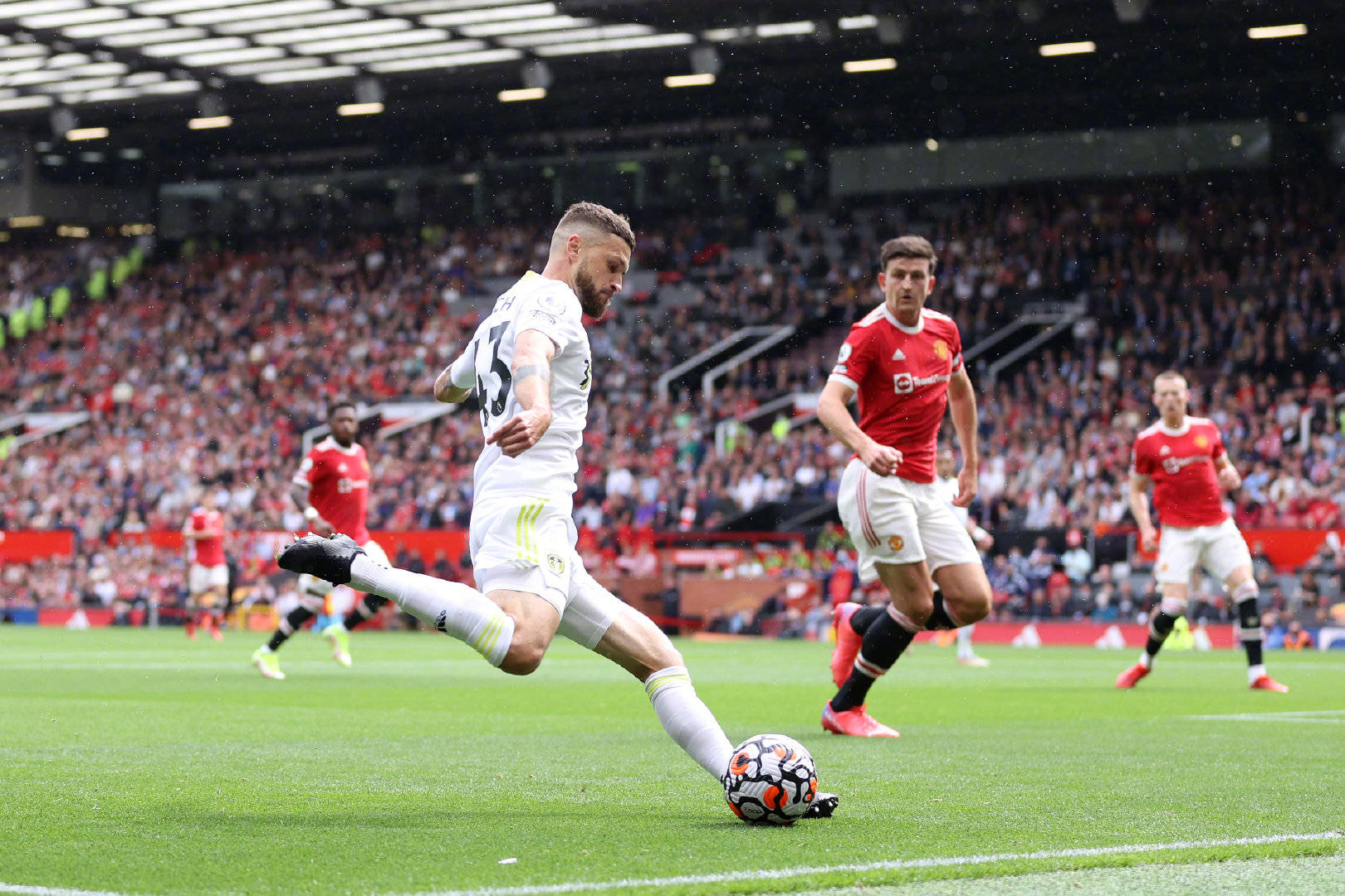 这一声明尽 这一声明尽